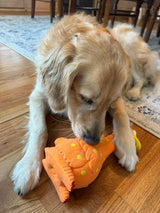 Camp Clucker Squeaky Dog Toy