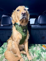 Nuggy Beast Harness