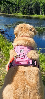 Nuggy Beast Harness