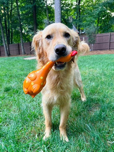 Camp Clucker Squeaky Dog Toy