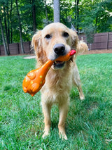 Camp Clucker Squeaky Dog Toy