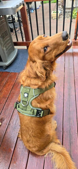 Nuggy Beast Harness