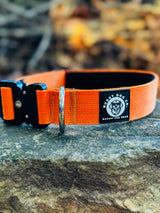 Nuggy Beast Collar