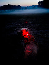 Clip-On Trail Light + Pet Light Bundle