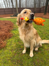 Camp Clucker Squeaky Dog Toy