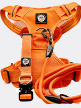 Nuggy Beast Harness