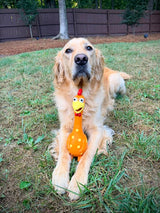 Camp Clucker Squeaky Dog Toy