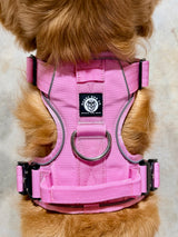 Nuggy Beast Harness