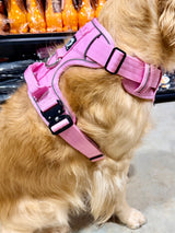 Nuggy Beast Harness