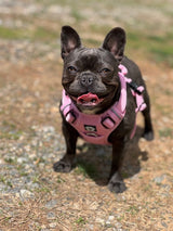 Nuggy Beast Harness