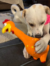 Camp Clucker Squeaky Dog Toy