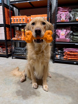 Nuggy Toy Duo | Camp Clucker + Nuggy Bone Dog Toy Bundle
