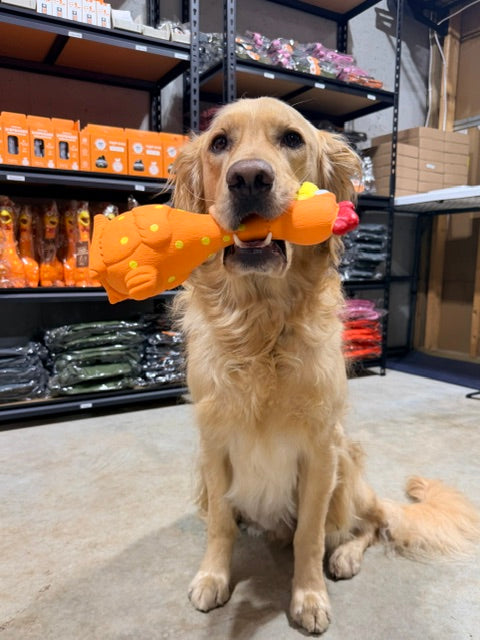 Camp Clucker Squeaky Dog Toy