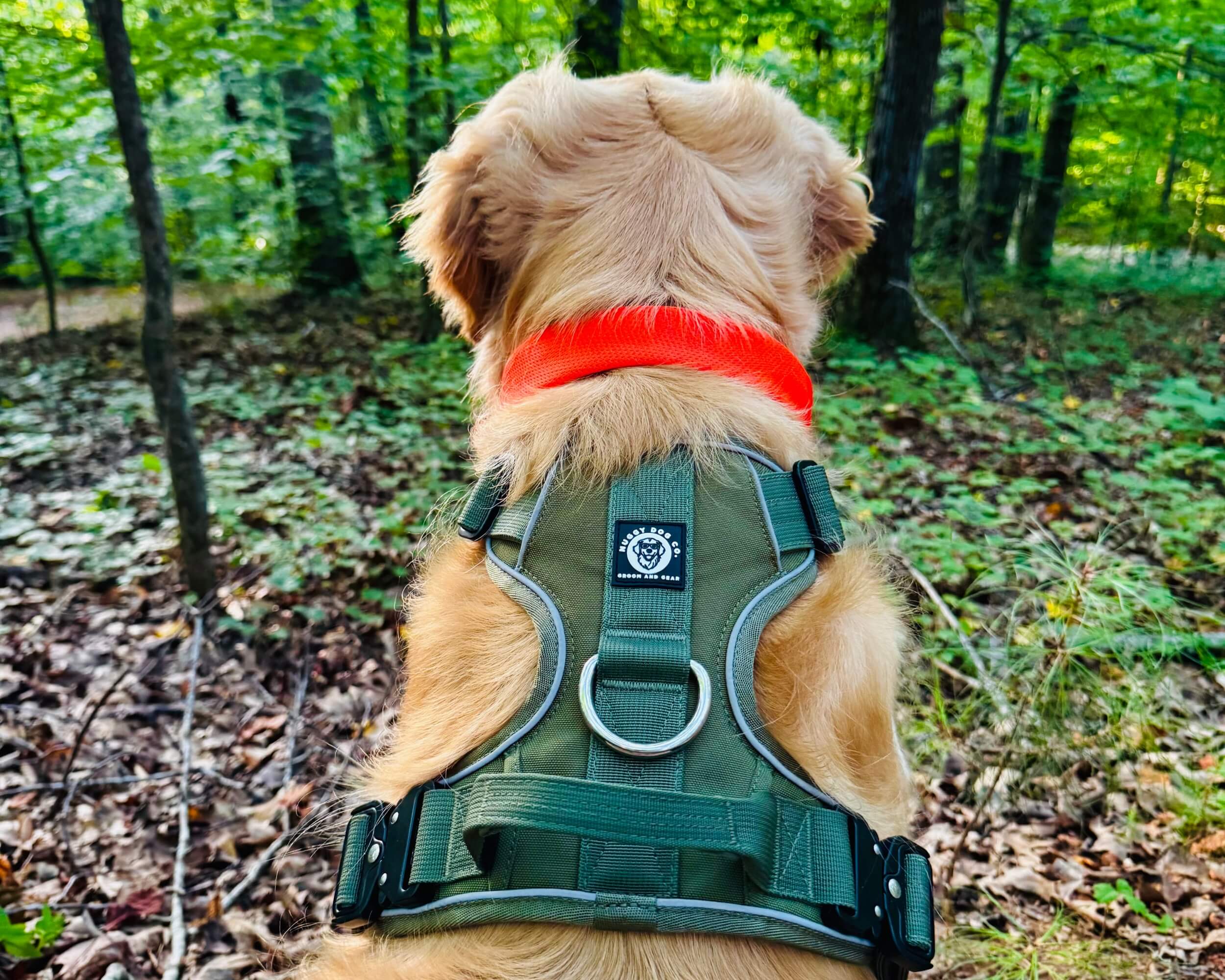 Nuggy Beast Harness