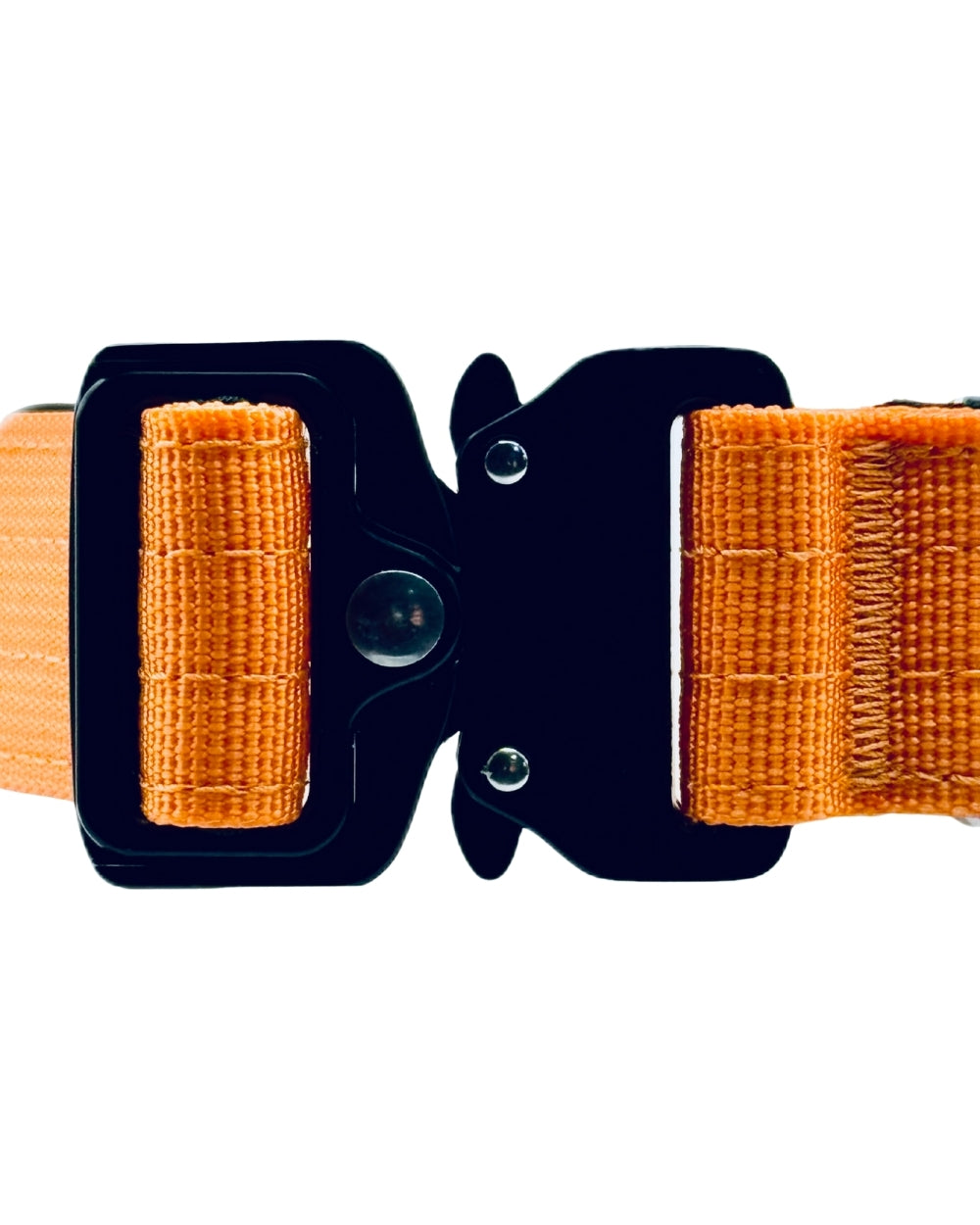 Orange belt with a black buckle on a white background