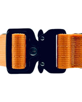 Orange belt with a black buckle on a white background