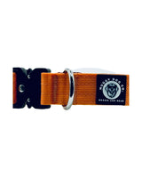 Orange dog collar with a black buckle and branded label on a white background