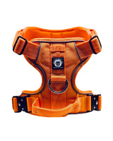 Orange dog harness with black straps on a white background