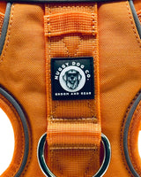 Orange dog harness with a Nuggy Dog Co. label on a white background