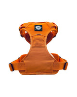 Orange dog harness with a brand logo on a white background