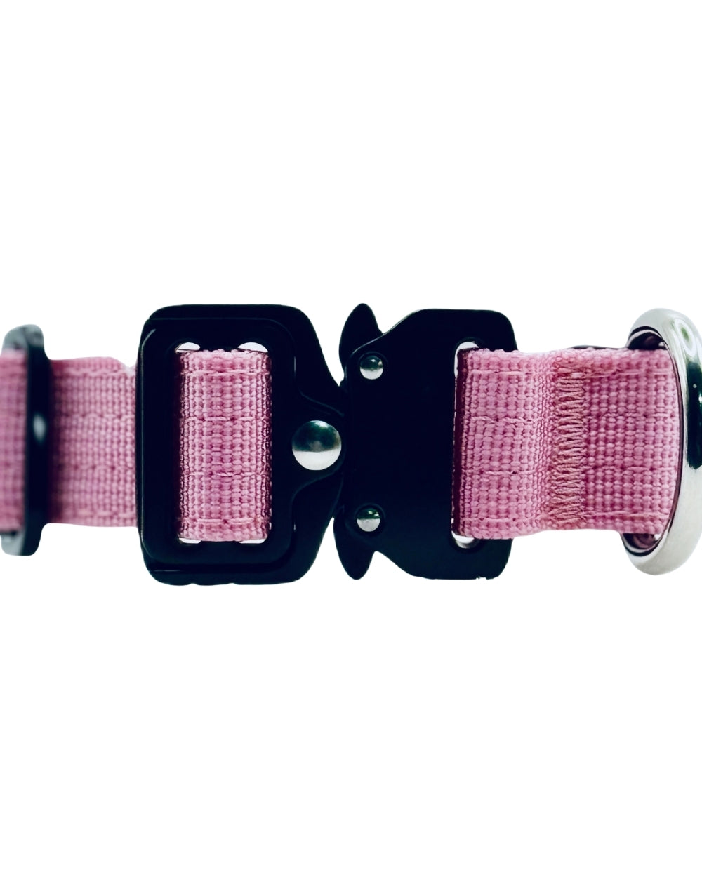 Pink dog collar with a black buckle on a white background