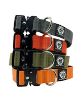 Set of dog collars in black, orange, and green with metal rings on a white background.