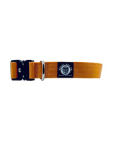 Orange dog collar with a black buckle on a white background