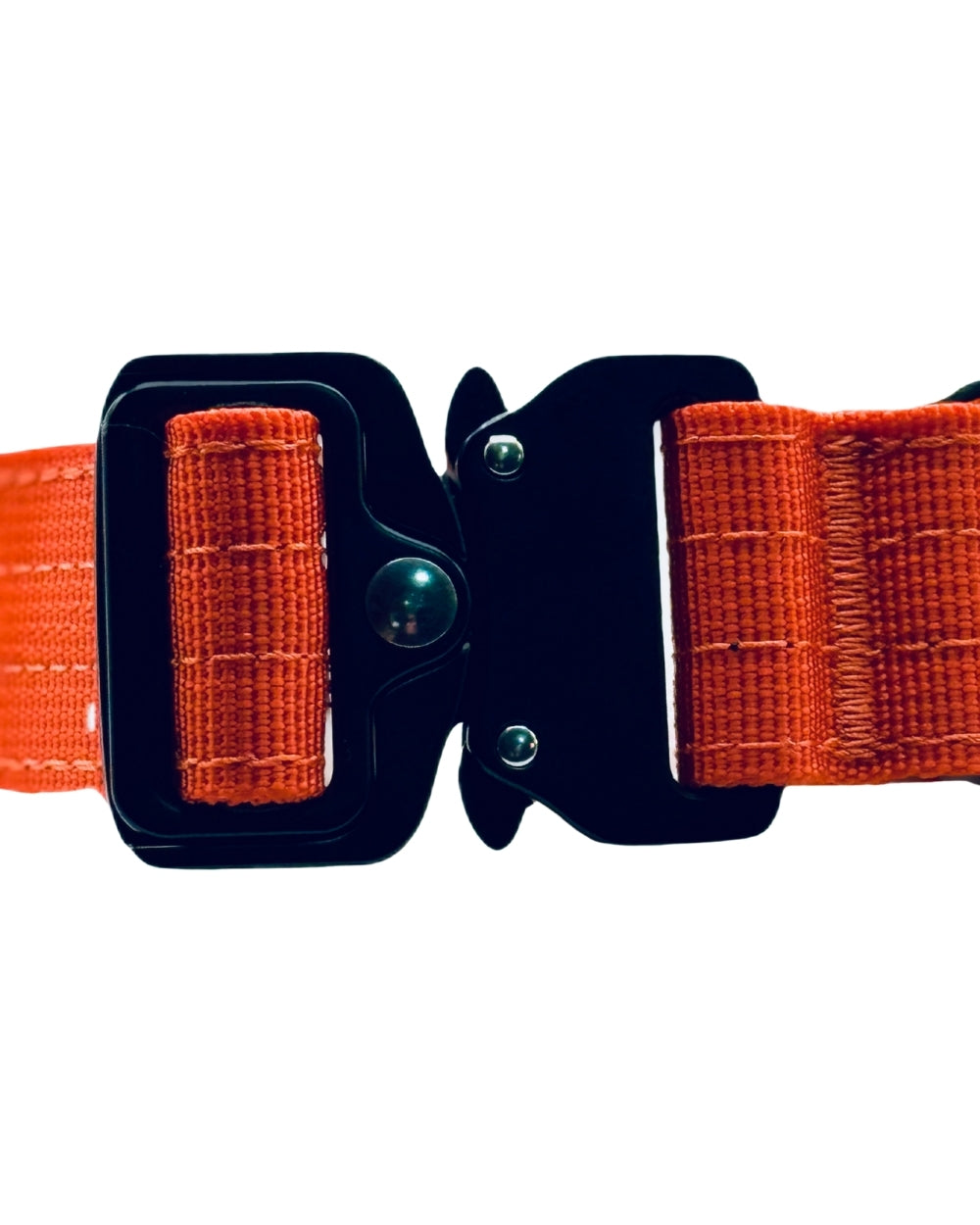 Orange dog collar with a black buckle on a white background