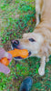 Nuggy Bone