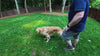 Nuggy Shed Tamer – 2-in-1 Dog Deshedding & Detangling Tool